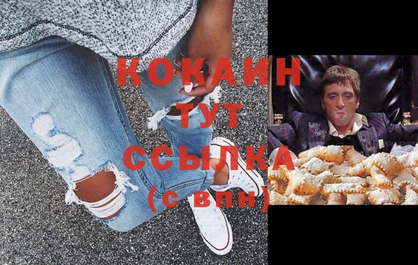 кокс Елизово