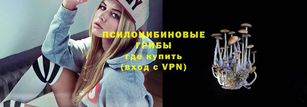герыч Елабуга