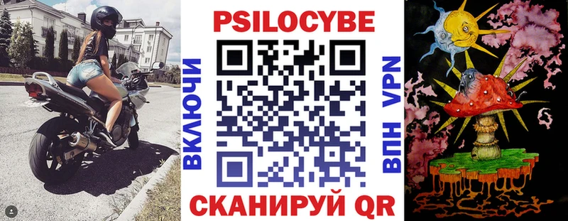 купить наркоту  Старица  Псилоцибиновые грибы Psilocybine cubensis 